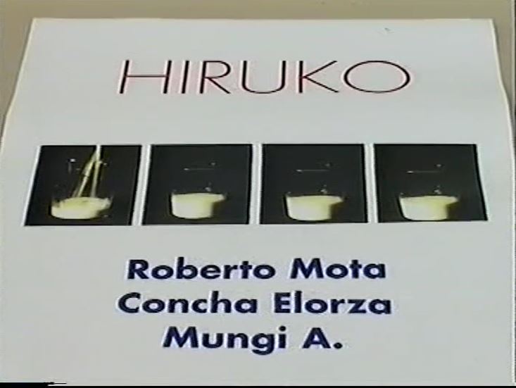 Miniatura