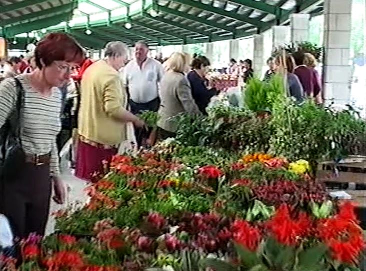 Miniatura