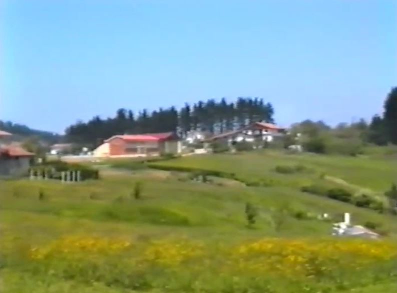 Miniatura