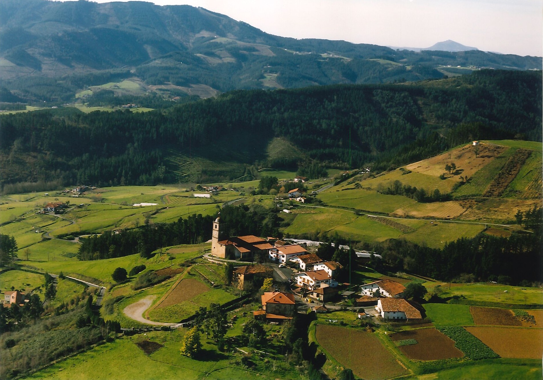 Miniatura