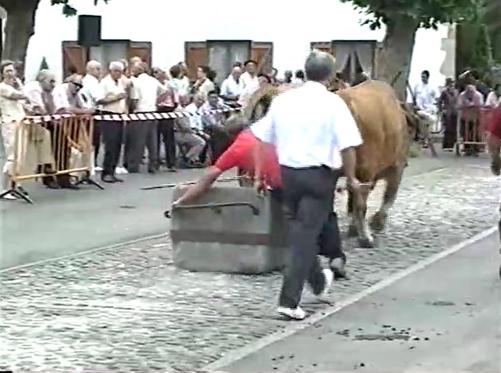 Miniatura