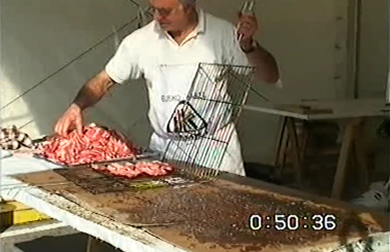 Miniatura